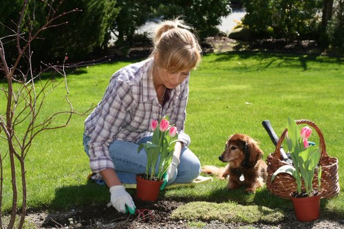 Team member consulting accessibility checklist beside a mower