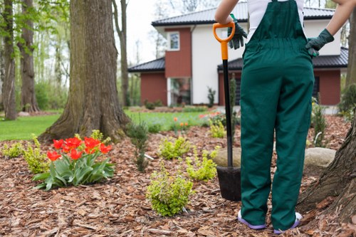 A gardener in green overalls is standing in a well-maintained garden in Willesden, with a focus on their back as they prepare to plant or tend to a garden bed. The garden features a neatly mulched area with a variety of plants, including a cluster of bright red tulips and several small green shrubs, arranged around a large mature tree with textured bark. In the background, there is a modern, two-storey house with a red-brown facade, white window frames, and a dark roof, set amidst tall trees with budding leaves, indicating early spring. The garden's layout includes a grass lawn and paved pathway, and the overall scene is bathed in natural daylight under partly cloudy skies, reflecting typical outdoor maintenance conditions. The gardener holds a spade with an orange handle, suggesting ongoing gardening or landscaping work, and the scene subtly highlights outdoor care and garden design consistent with professional lawn and garden services in the Willesden area, supported by Lawn Mowing Willesden.