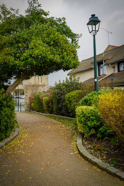 A winding pathway in a residential garden during daytime, edged with a curved stone border and covered with fallen yellow and green leaves, indicating autumn. To the left, a large, leafy green tree wi