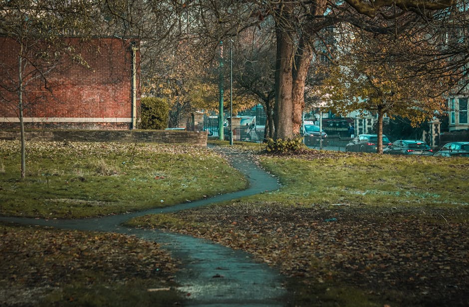 A winding pathway in a residential garden during daytime, edged with a curved stone border and covered with fallen yellow and green leaves, indicating autumn. To the left, a large, leafy green tree wi